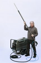 Asiatische Hornisse Dampflanze Modell1