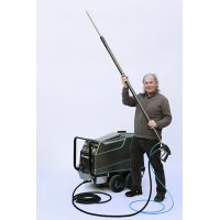 Asiatische Hornisse Dampflanze Asiatische Hornisse Dampflanze