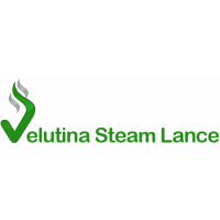 Asian hornet steam plant