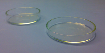 2 Stück Petrischale Glas 6x1,5cm - zum Schließen ins Bild klicken